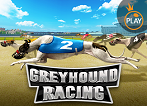 Greyhound Racing